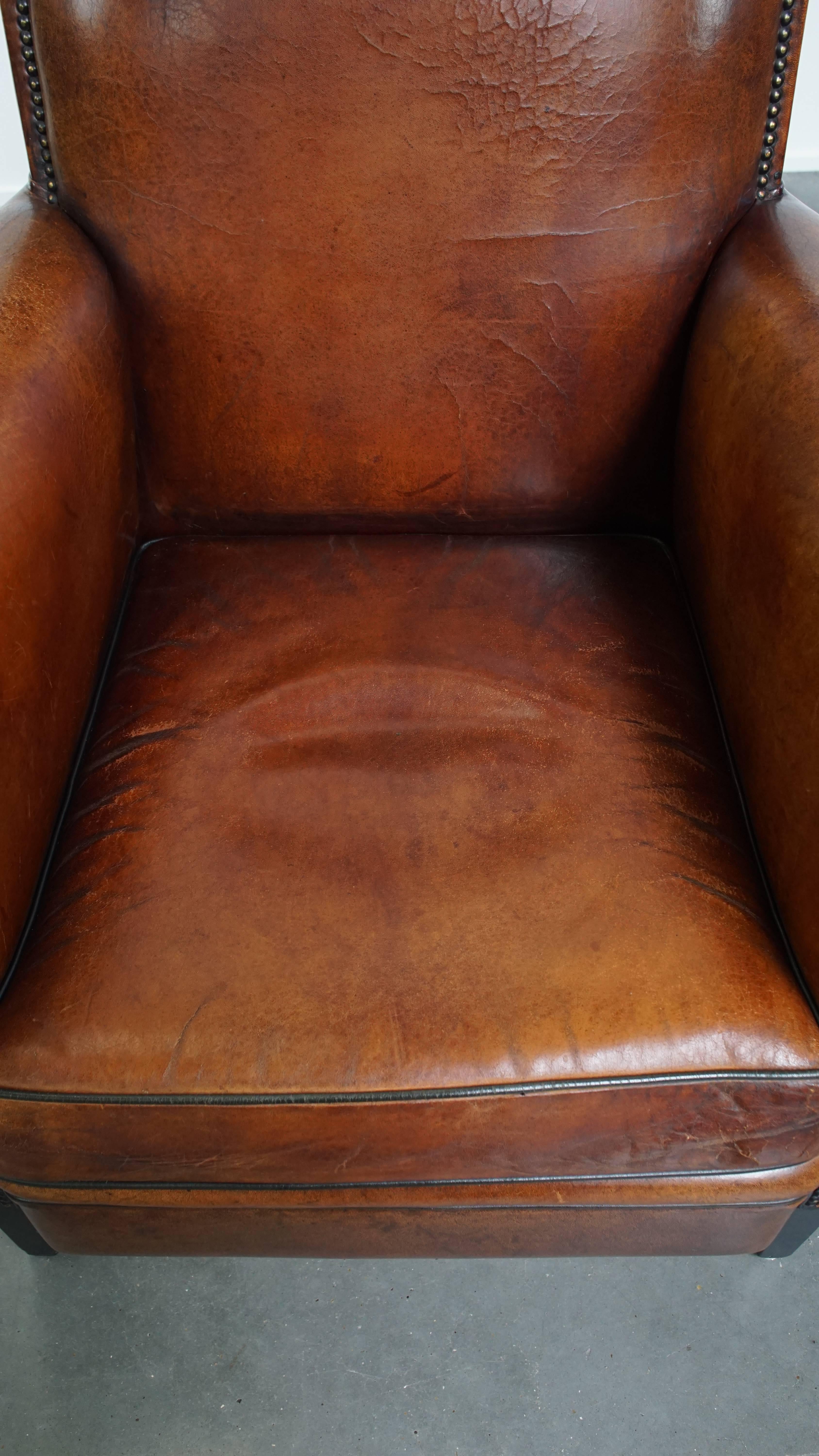Contemporary Sheepskin leather armchair in a cognac color with black piping For Sale
