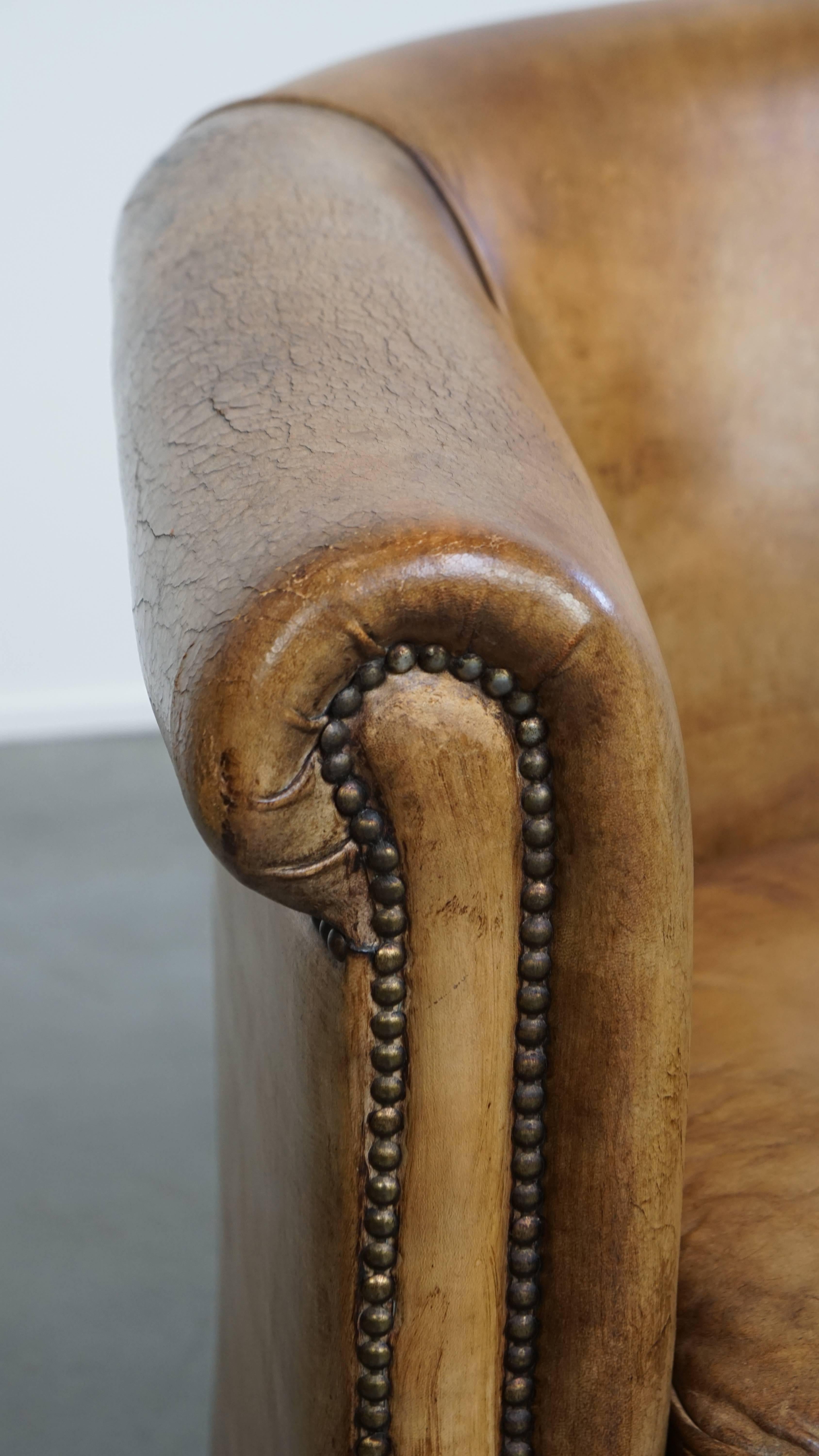 Sheepskin Leather Club Chair by Nico van Oorschot For Sale 4