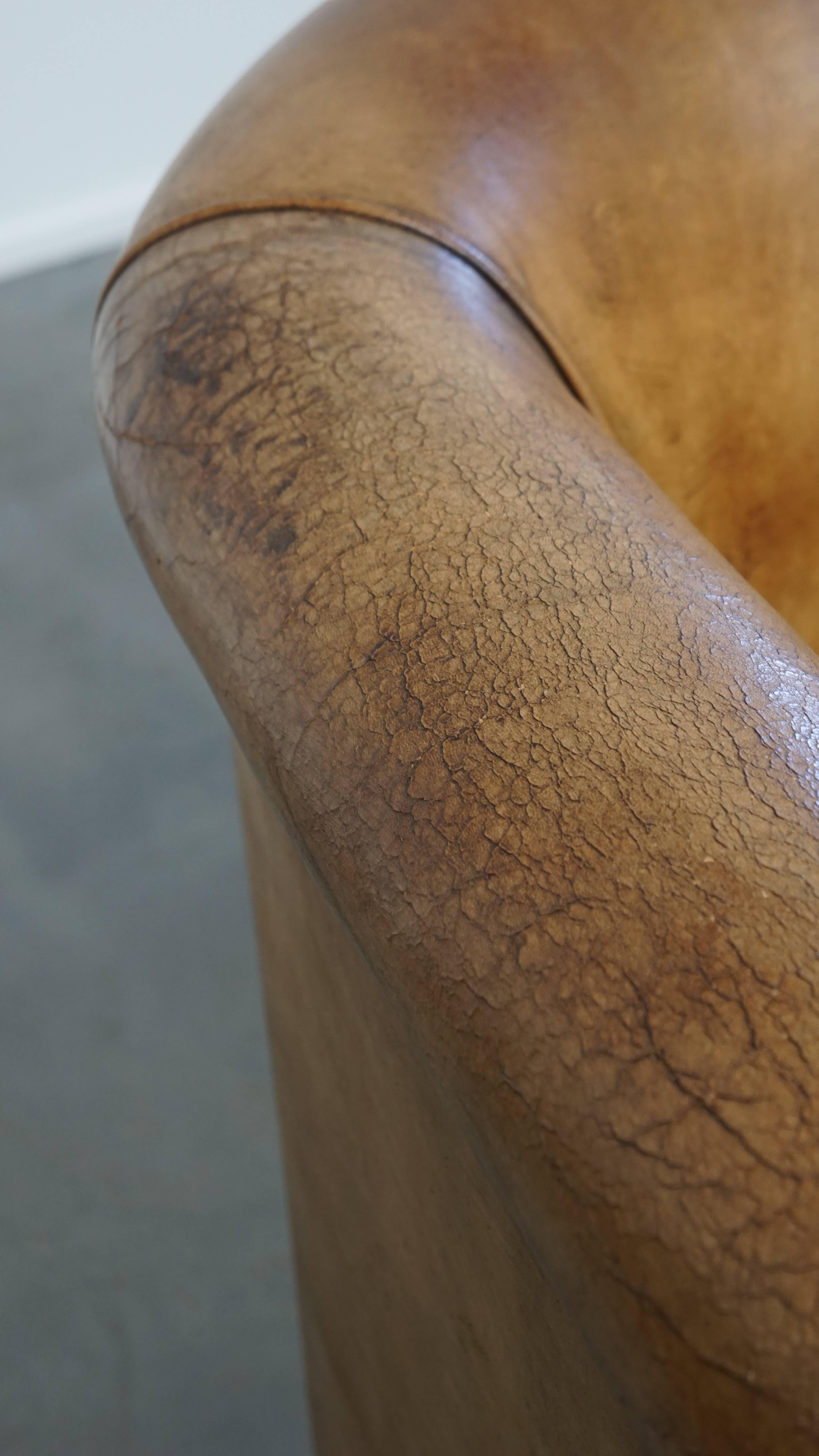 Sheepskin Leather Club Chair by Nico van Oorschot For Sale 5