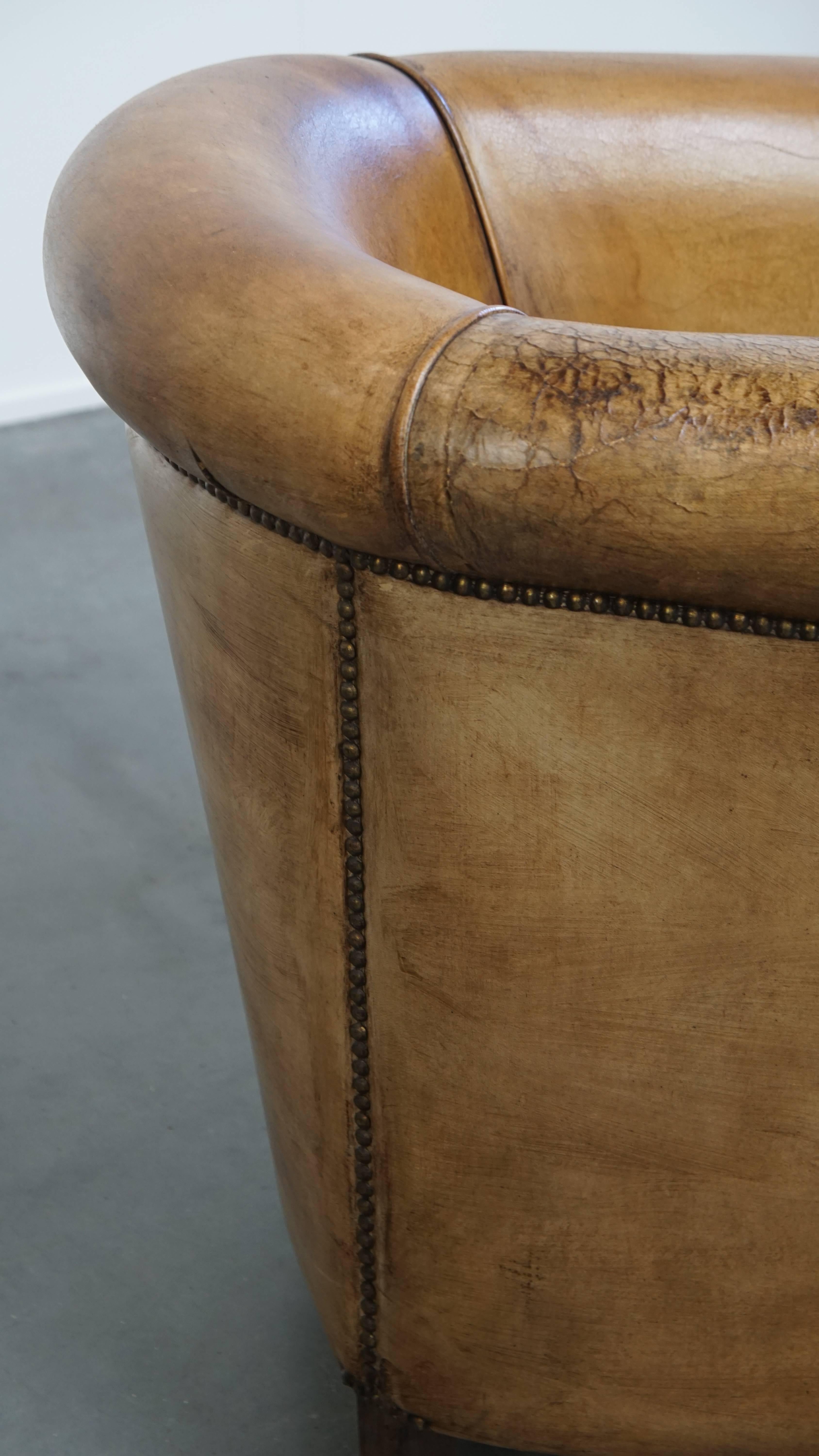 Sheepskin Leather Club Chair by Nico van Oorschot For Sale 6