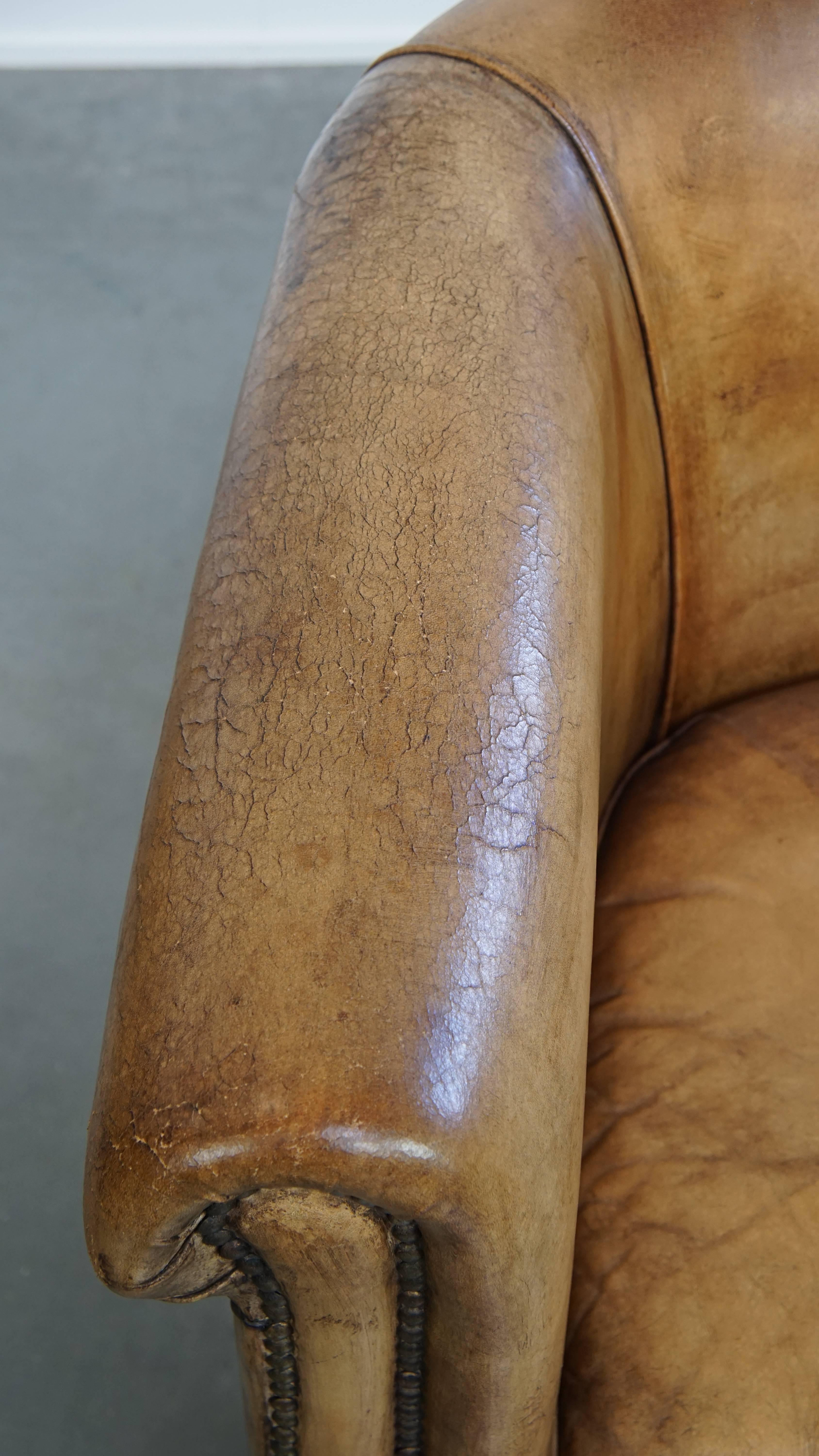Sheepskin Leather Club Chair by Nico van Oorschot For Sale 1