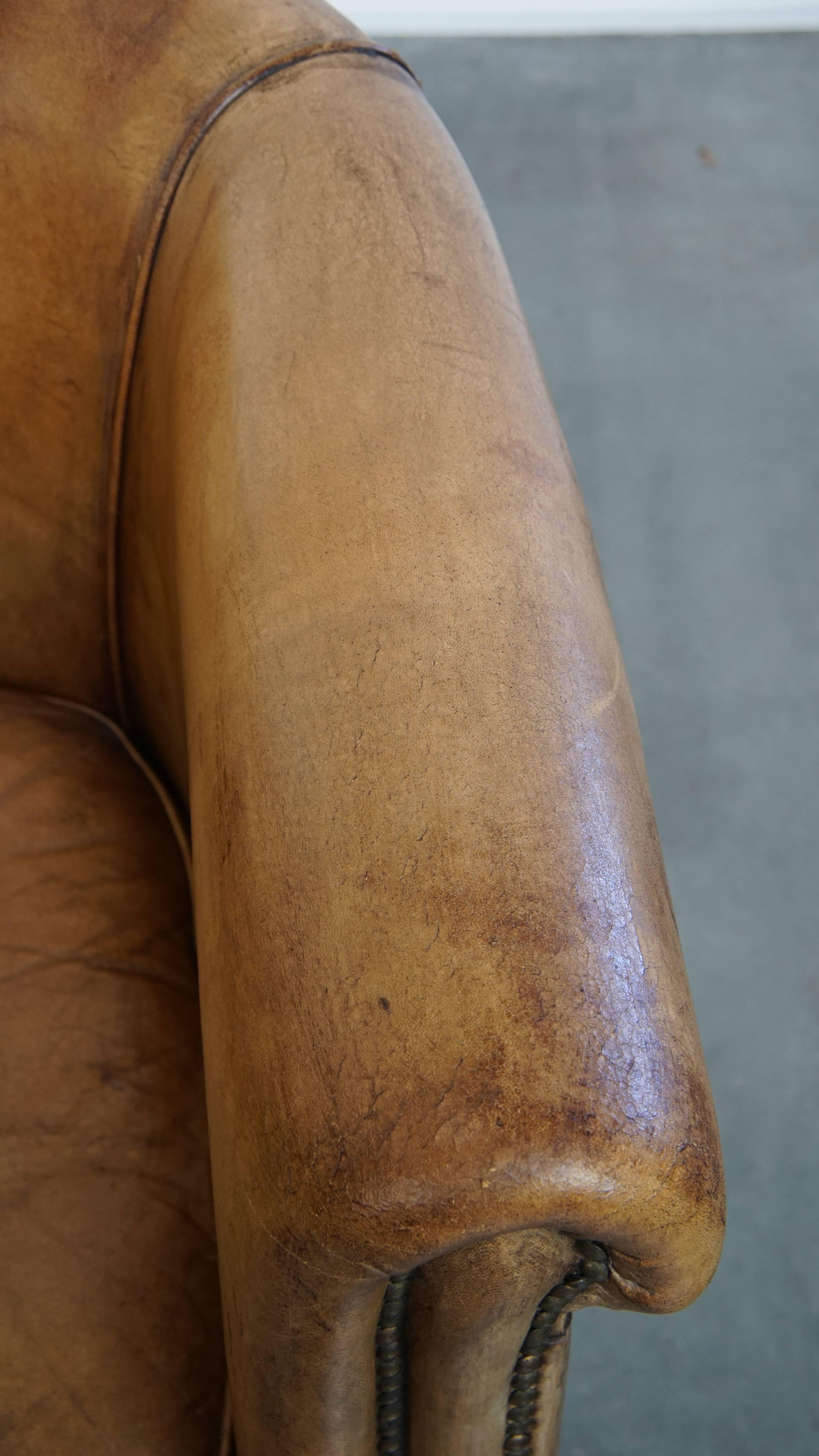 Sheepskin Leather Club Chair by Nico van Oorschot For Sale 2