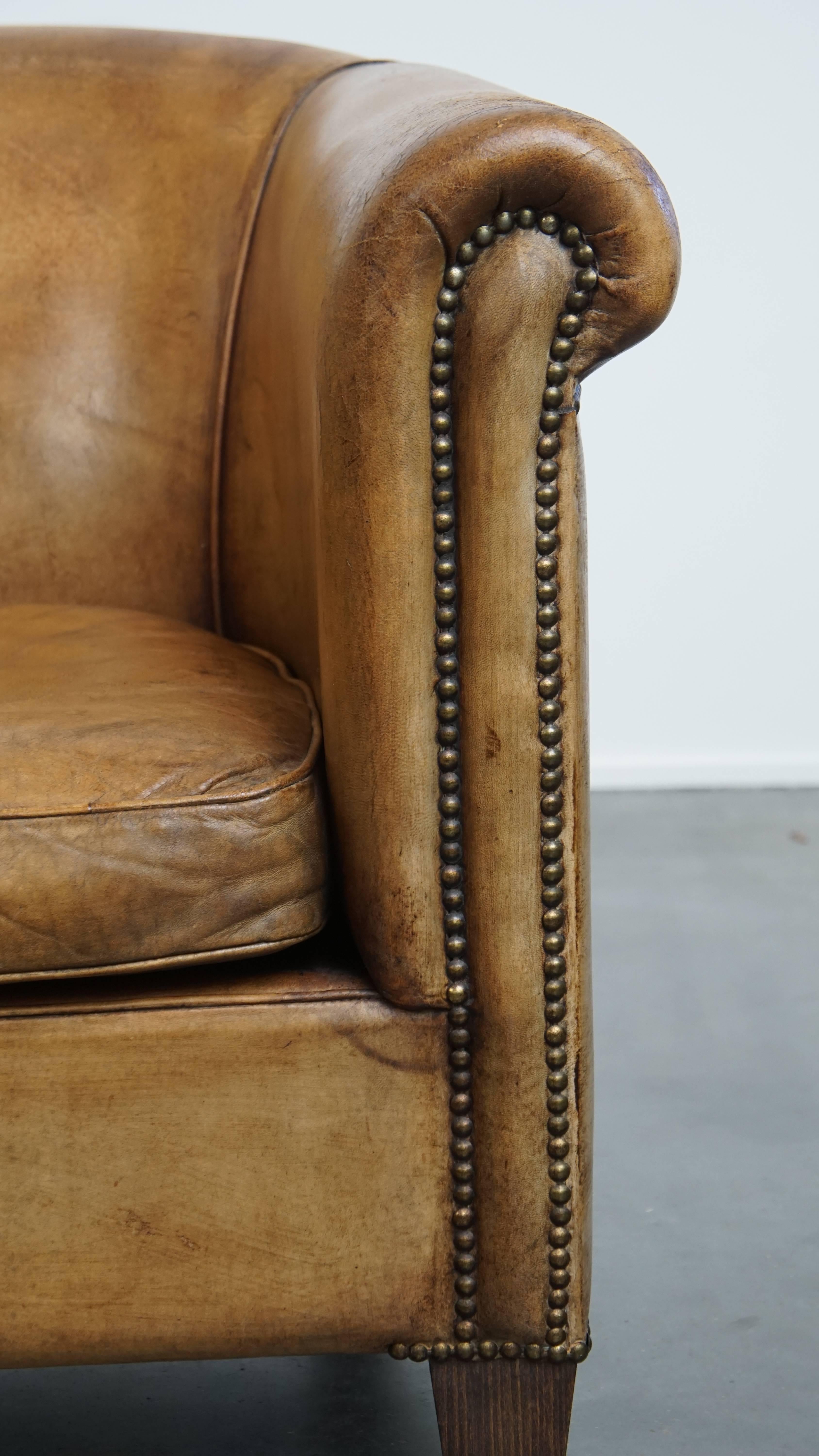 Sheepskin Leather Club Chair by Nico van Oorschot For Sale 3