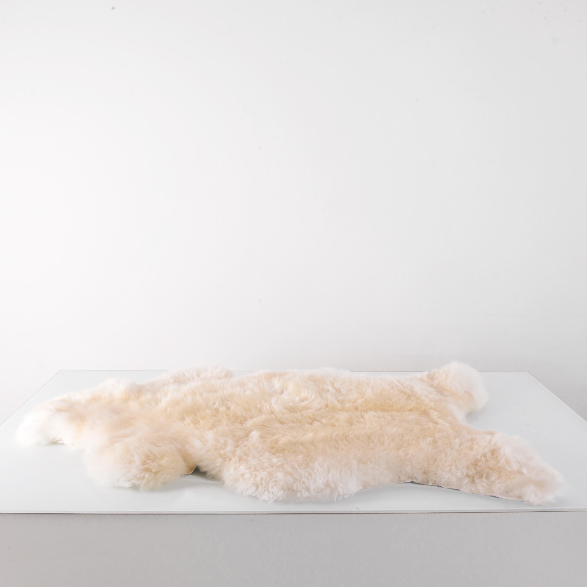 A sheepskin throw from Central Europe. The thick fleece has a pale, creamy color. The form follows the natural line of the sheepskin. Warm and cosy, yet possessed of a soft, dreamy, cloud-like quality, this sheepskin throw provides a timeless