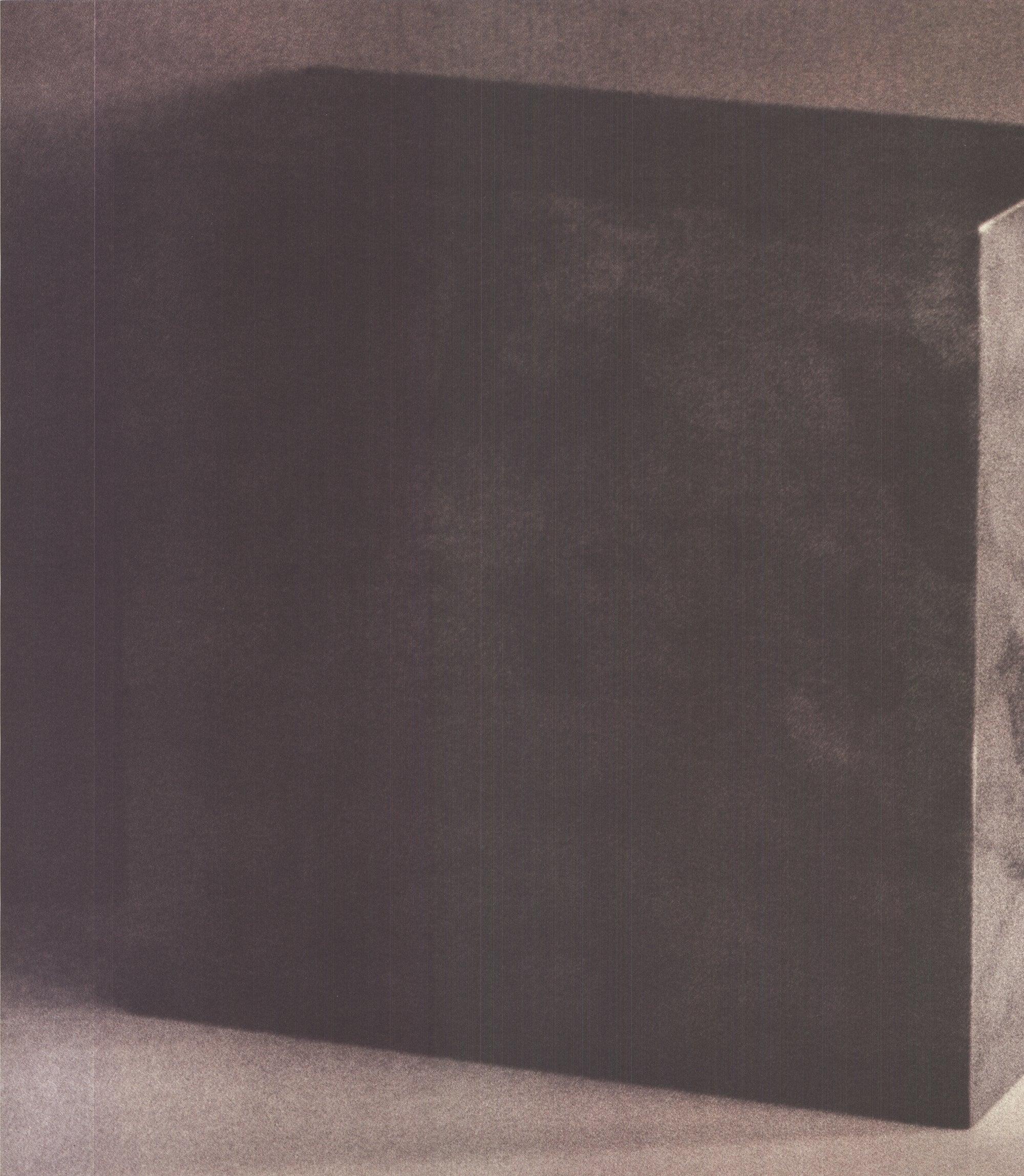 1992 Sheila & Jeffrey Metzner 'American Dance Festival 1992' SIGNÉ À LA MAIN en vente 1
