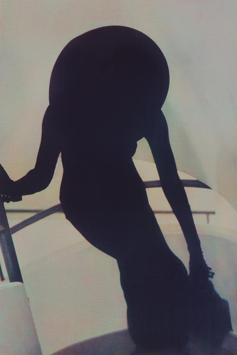 Sheila Metzner Color Photograph - Fashion. 1988.