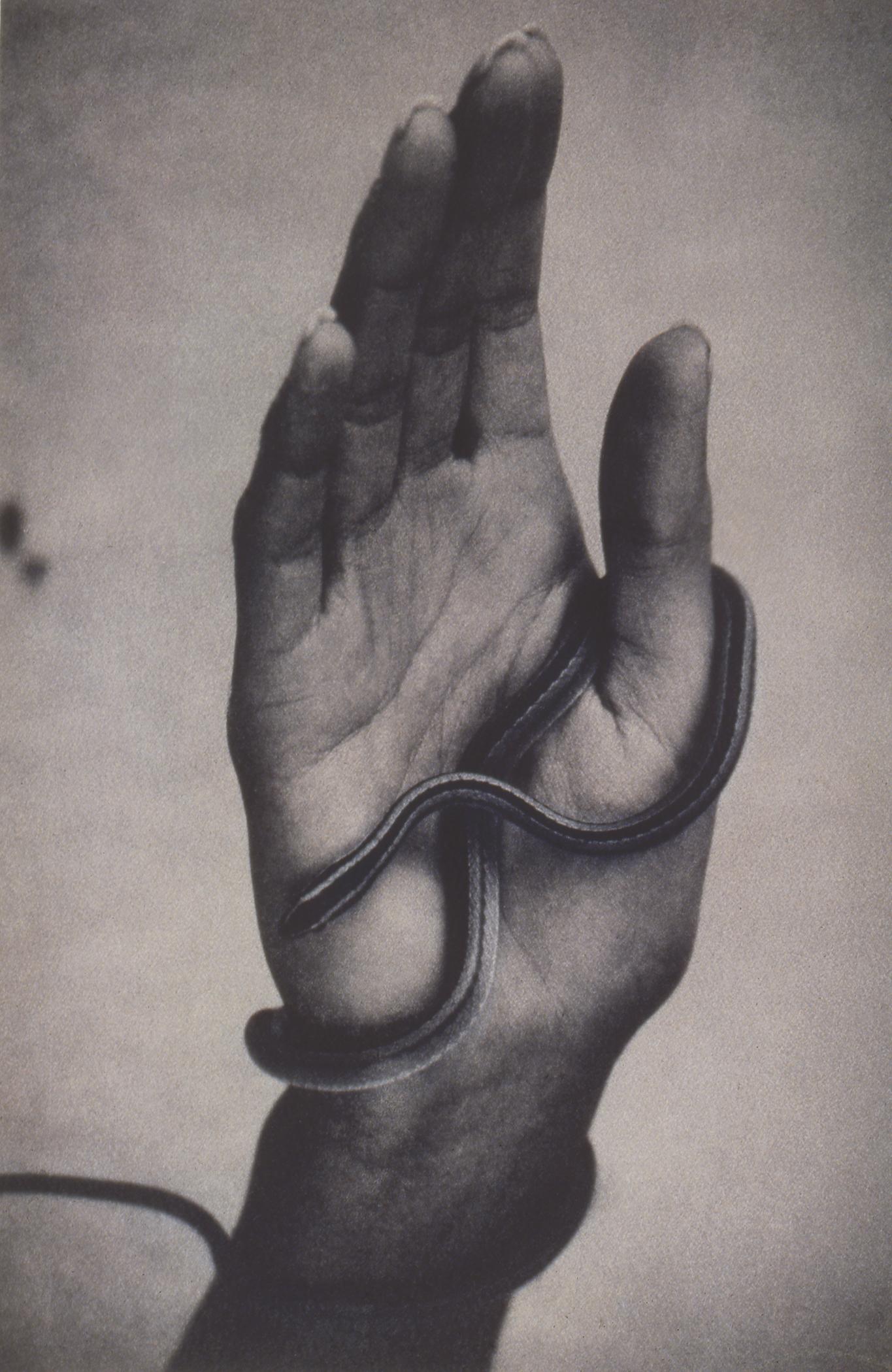Color Photograph di Sheila Metzner - Mano con serpente. 1994