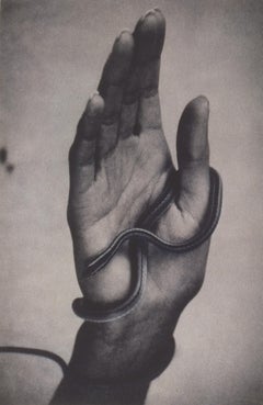 Mano con serpente. 1994