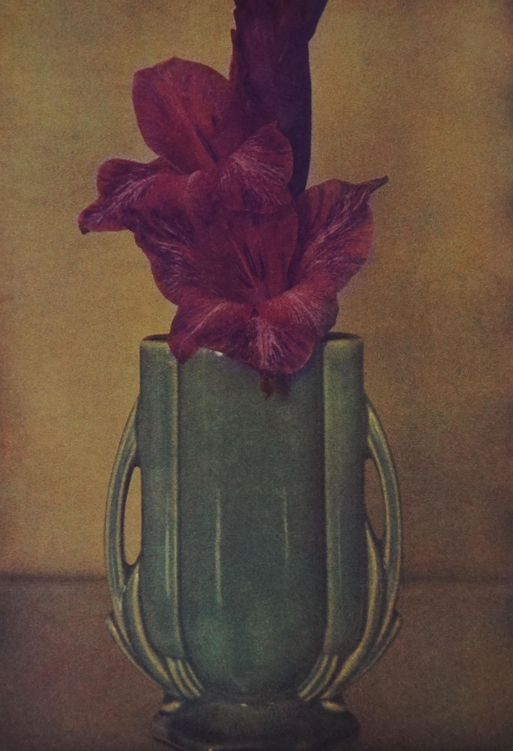 Sheila Metzner Color Photograph - Painted Gladiola, 1981, Printed 1981