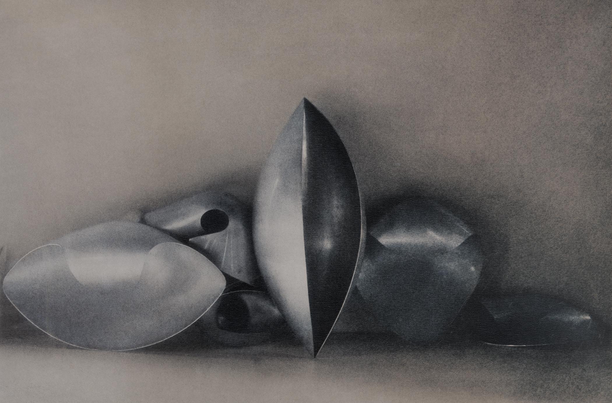 Sheila Metzner Color Photograph – Das Prototyp. 1985