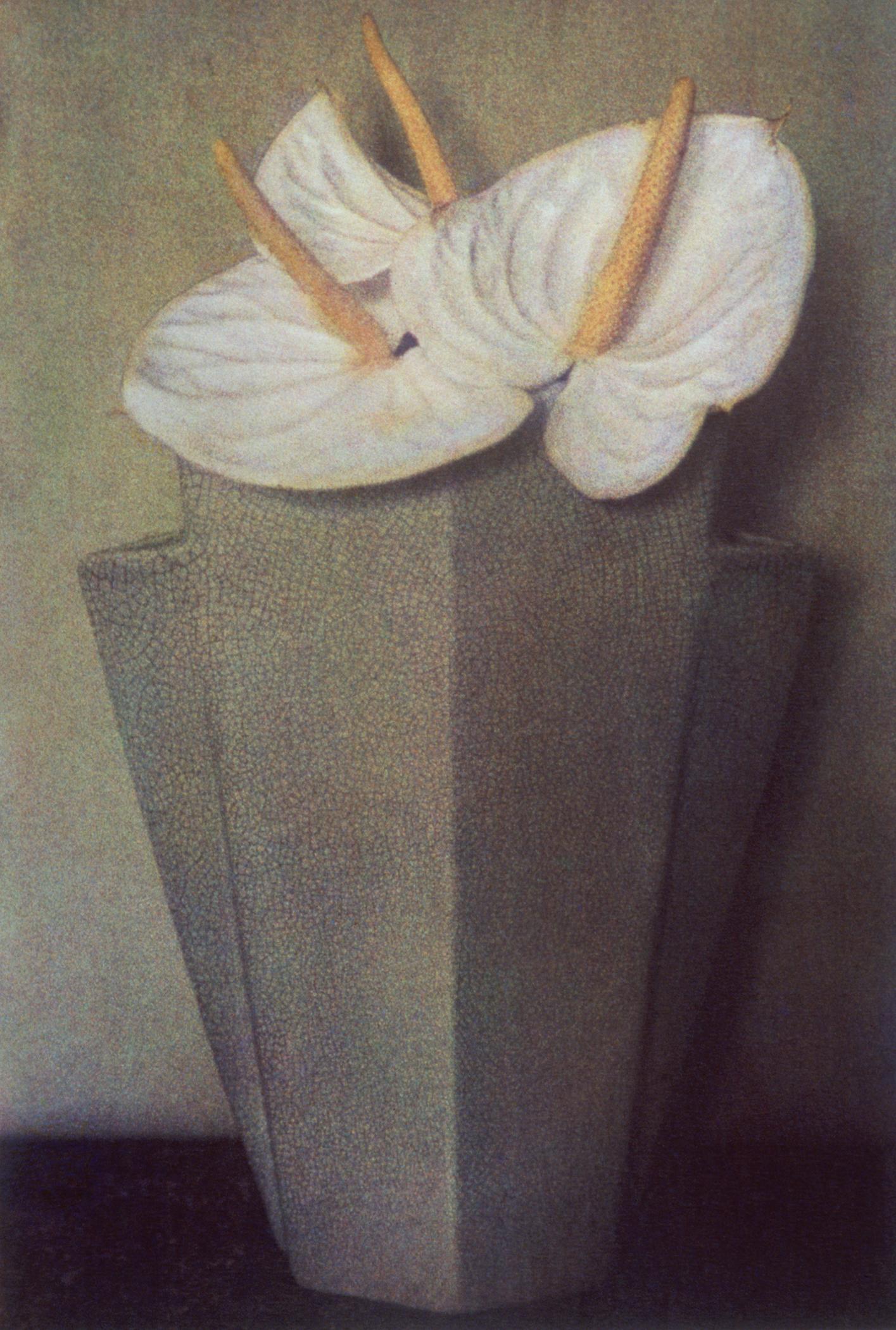 Color Photograph Sheila Metzner - Vase gris anthracite blanc, 1980