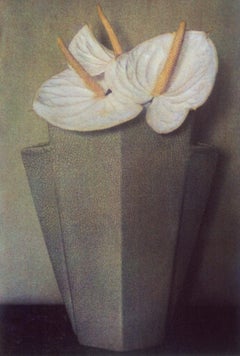 White Anthuriums Grey Vase. 1980
