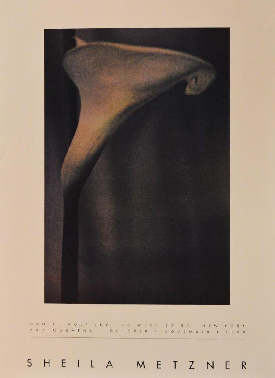 Sheila Metzner Still-Life Print - Poster-Daniel Wolf Inc. New York, Photographs-October 7-November 1, 1980