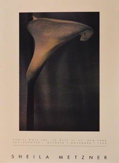 Cartel-Daniel Wolf Inc. Nueva York, Fotografías-7 de octubre-1 de noviembre de 1980