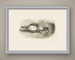 Shelduck and Ducklings, Antique Bird Print after Lilian Medland, circa 1909