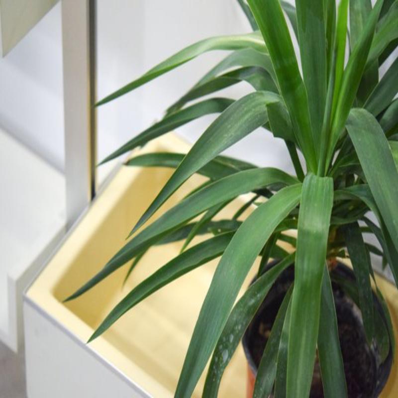 Regal aus Glas von Michel Duraoy für Ligne Roset, 1970er Jahre im Zustand „Hervorragend“ im Angebot in Andrézieux-Bouthéon, FR