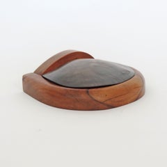Shell and Carved Wooden Box in the Style of Alexandre Noll, France, 1950s