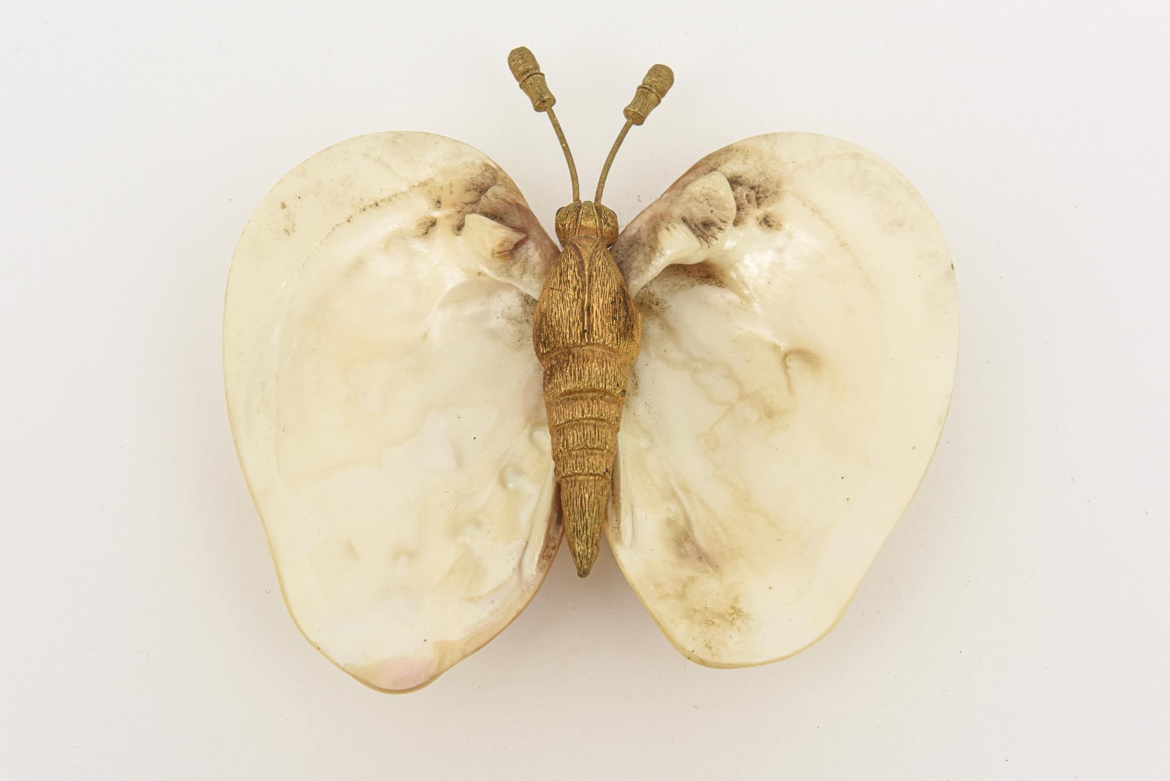 Ce joli bol à papillon en coquillage et plaqué or est idéal pour un plat à anneaux, un accessoire de bureau ou de table de chevet. Un papillon relie les deux coquilles. Il pourrait également s'agir d'un bol à savon ou d'une pièce de service haut de