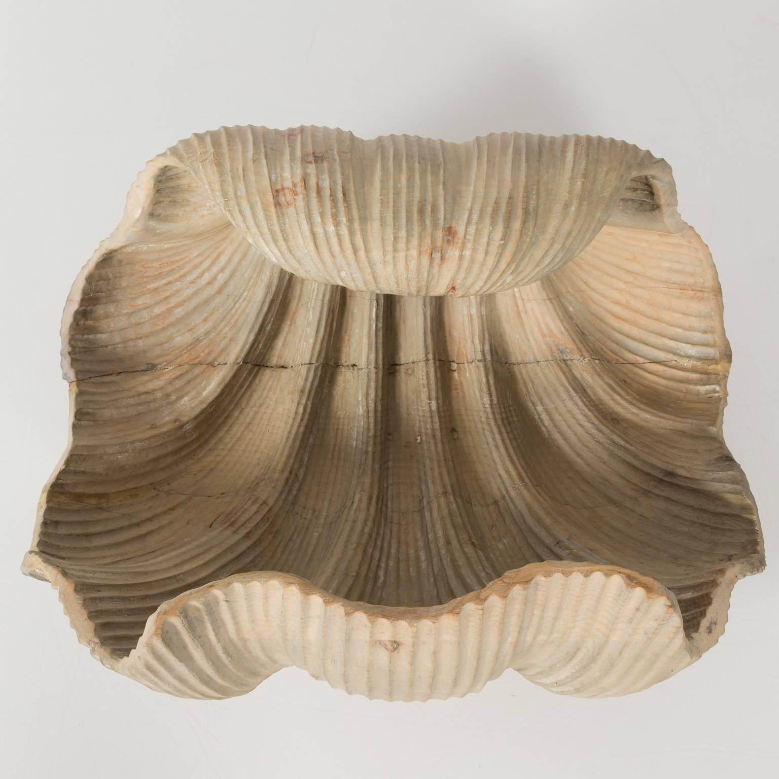 seashell coffee table