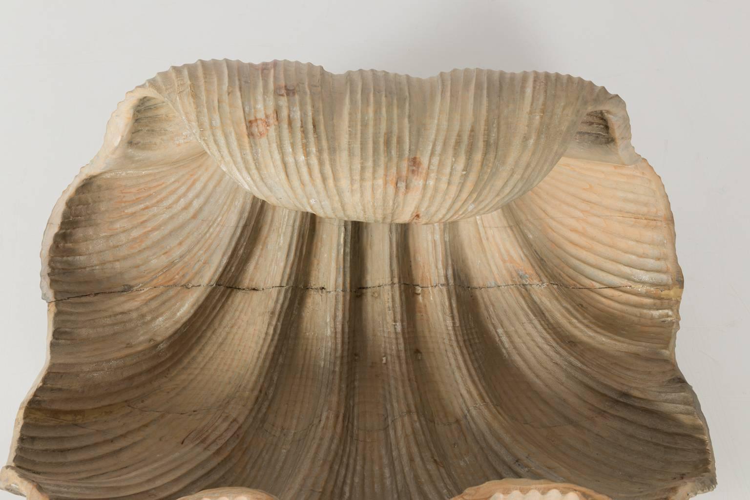 table shell