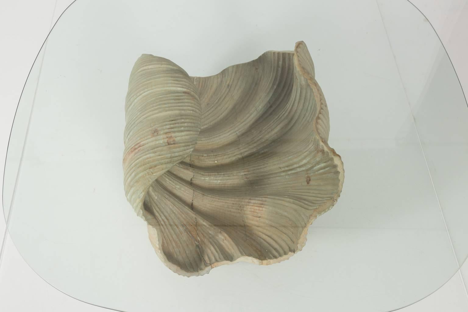 Rococo Shell Base Coffee Table