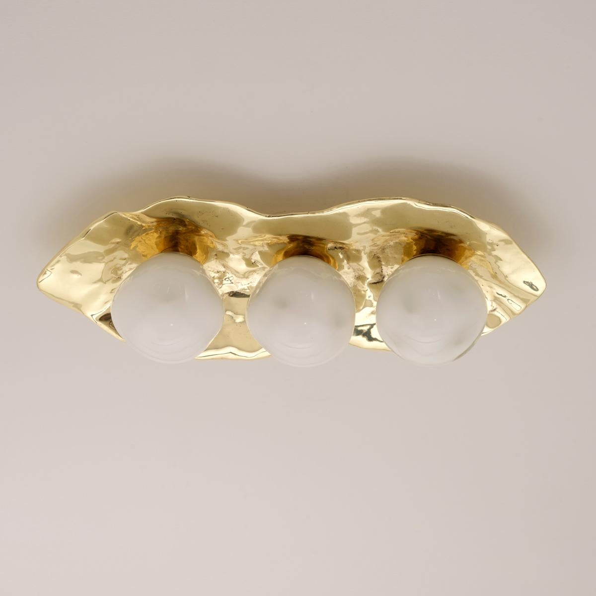 Italian Shell Ceiling Light by Gaspare Asaro-Polished Brass Finish For Sale