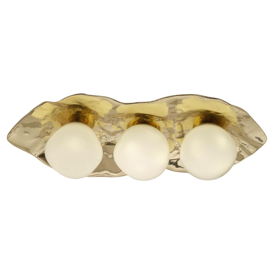 Shell Ceiling Light by Gaspare Asaro-Polished Brass Finish For Sale