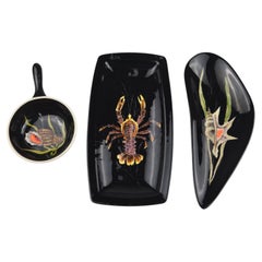 Set di conchiglie in ceramica di Guy Trévoux per Henriot Quimper, anni '50