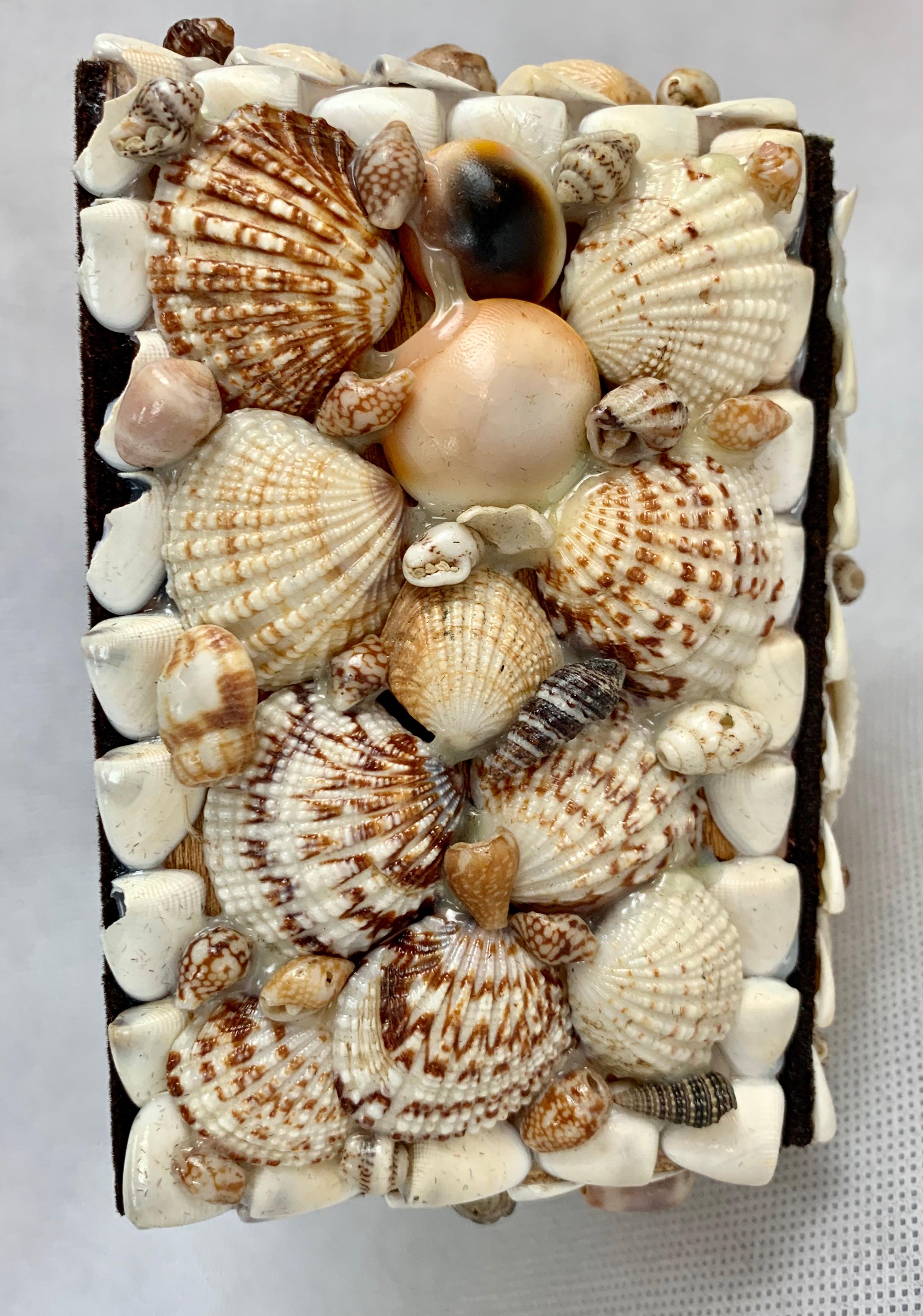 shell covered box