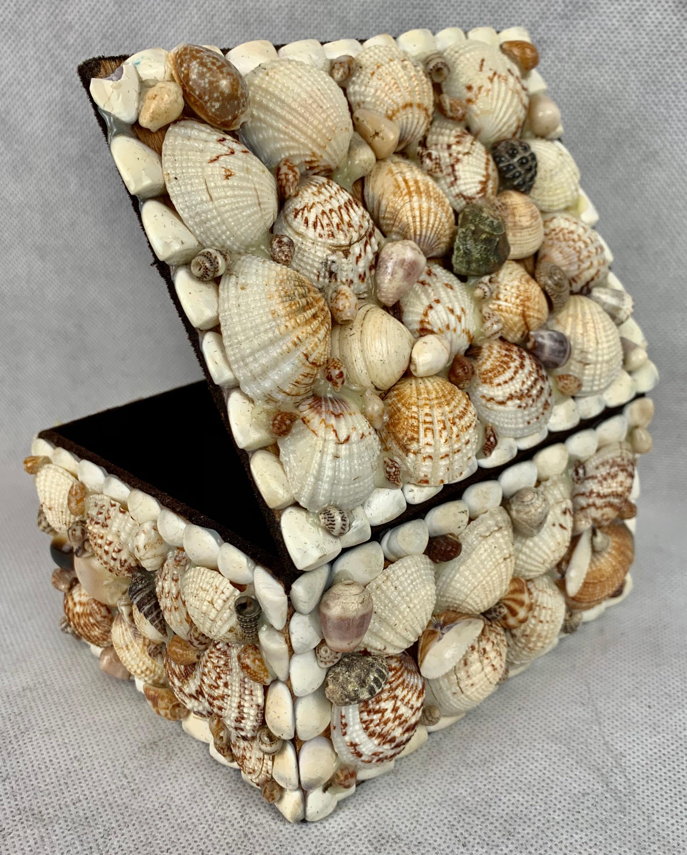 shell boxes