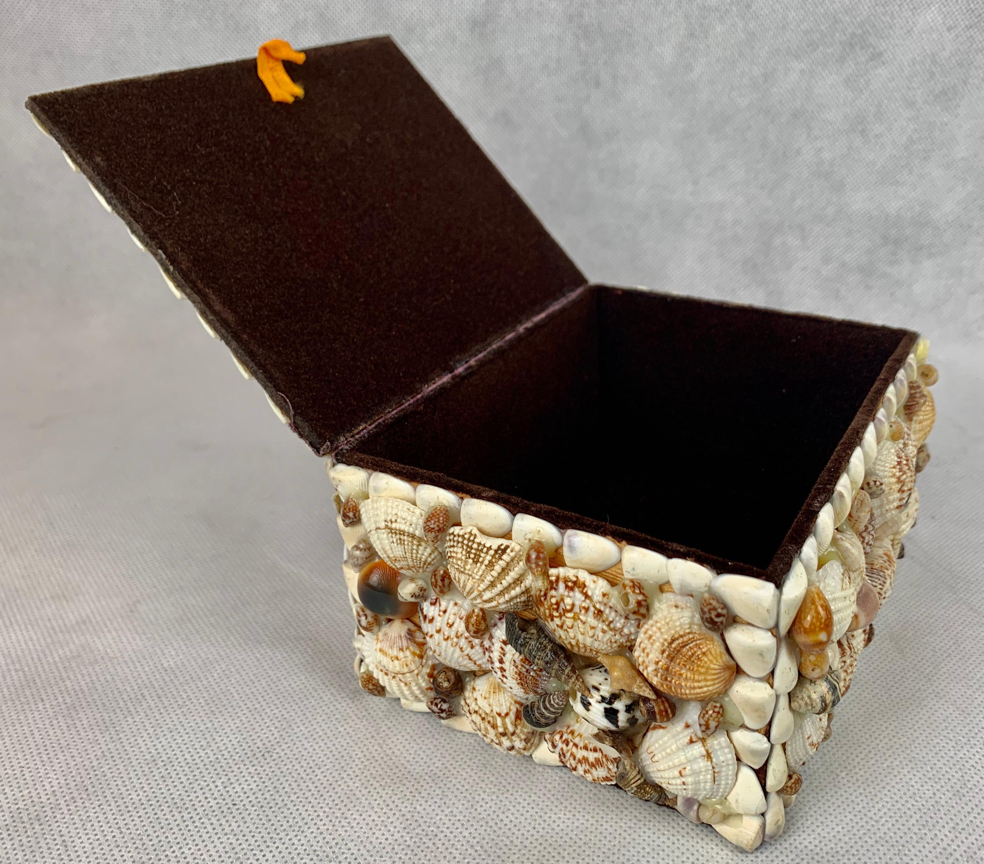 shell covered boxes