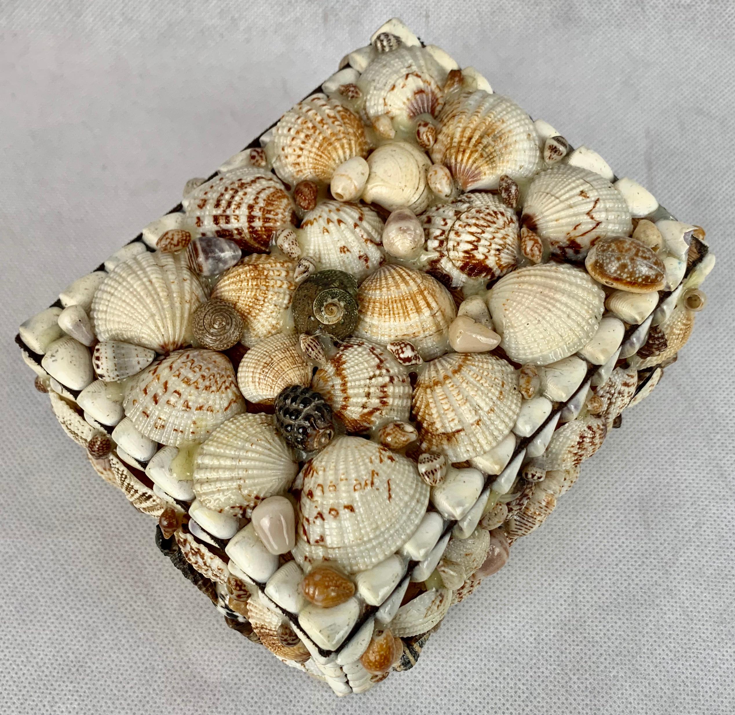 Hand-Crafted Shell Covered Lined Box