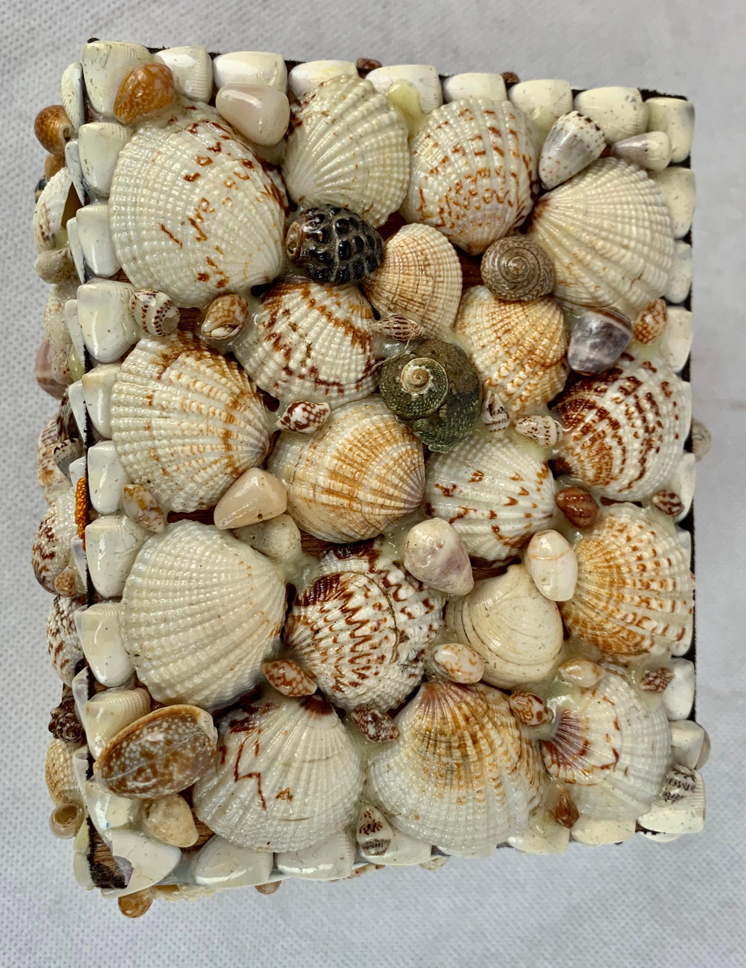 Mid-20th Century Shell Covered Lined Box