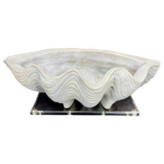 Shell Earthenware Centerpiece Sculpture Planter on Lucite Base