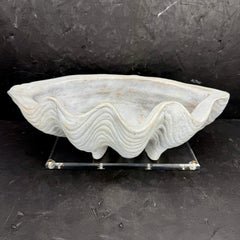 Shell Earthenware Shell Centerpiece Sculpture Planter on Lucite Base