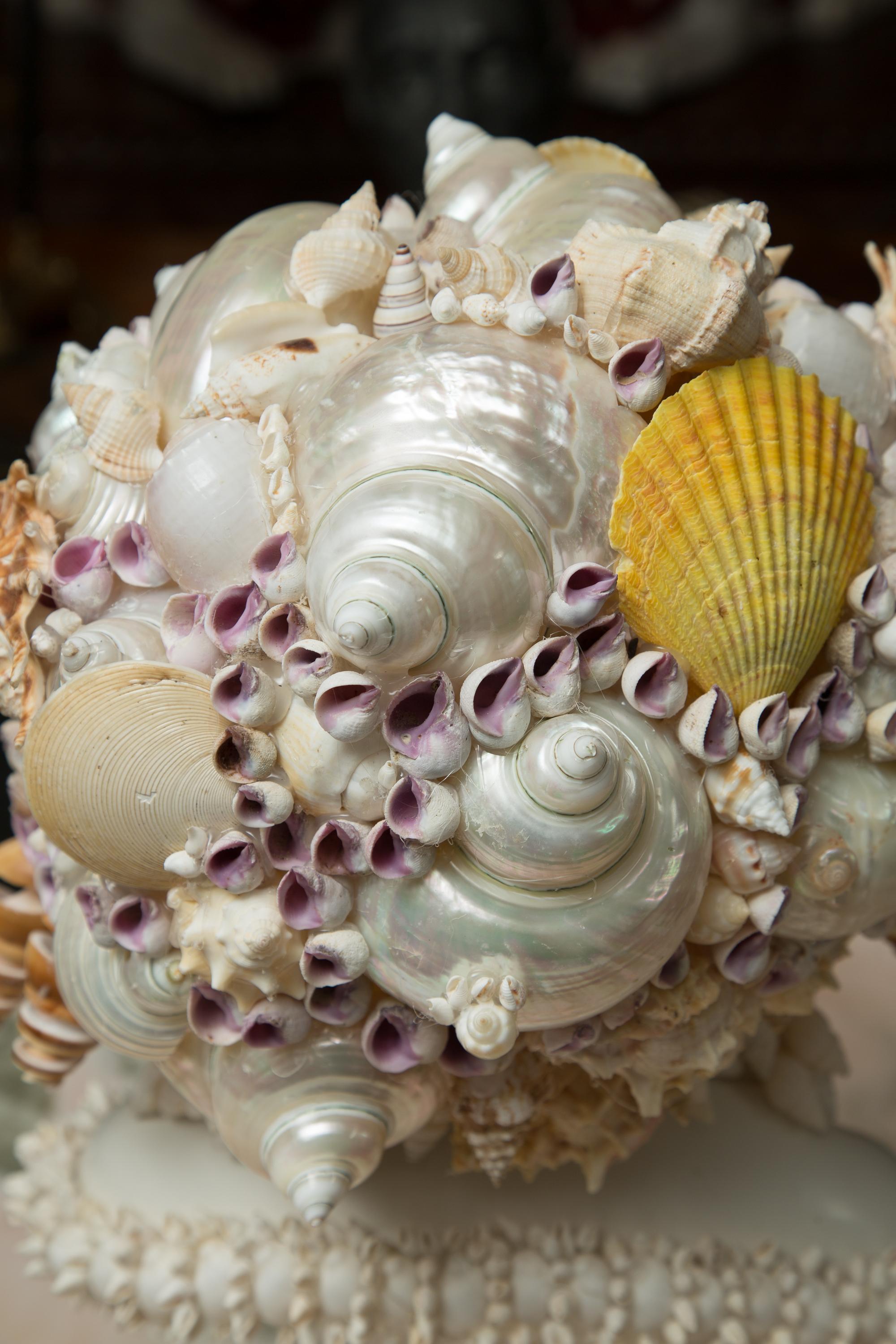 shell sculpture