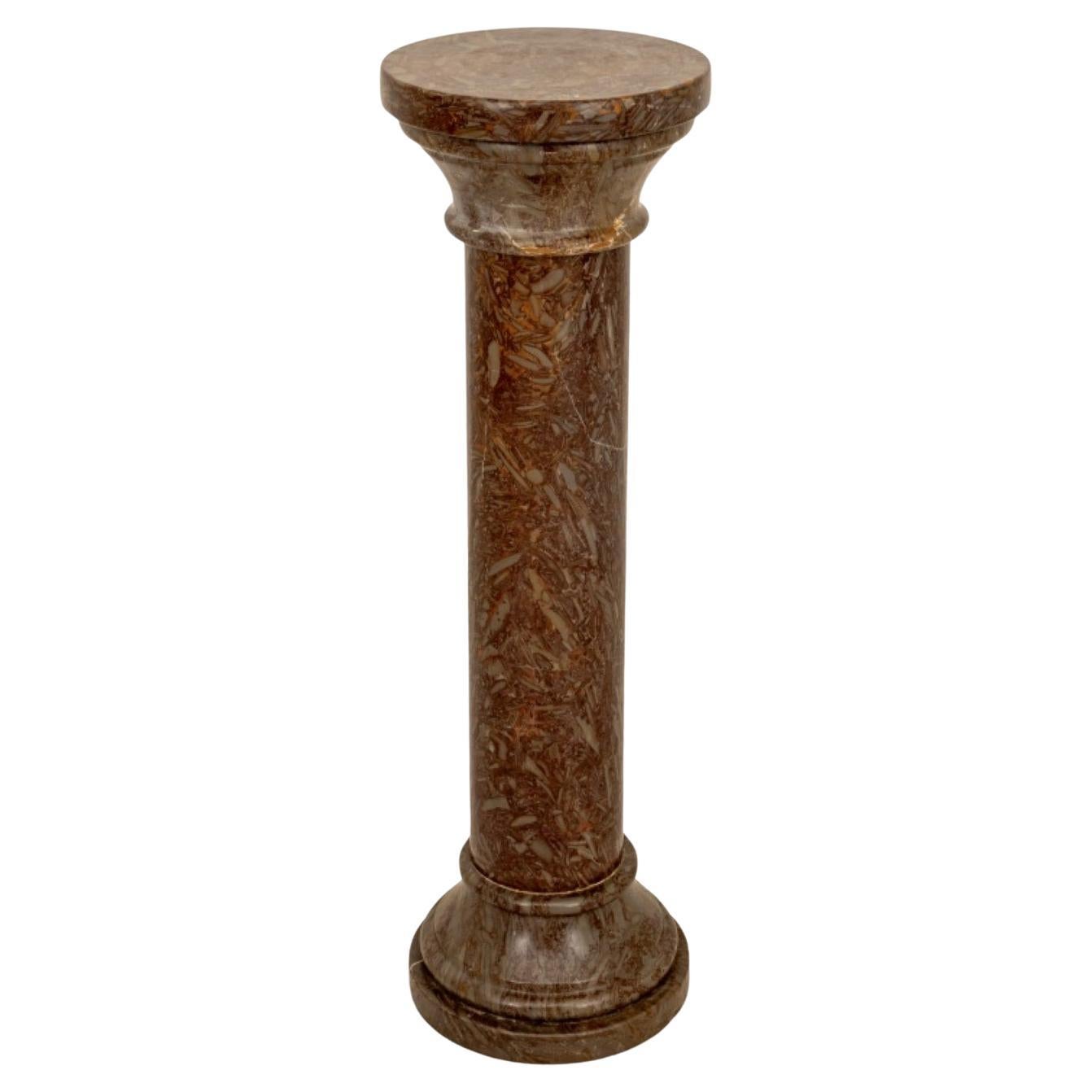 Muschel Fossil Marmor Säule Pedestal