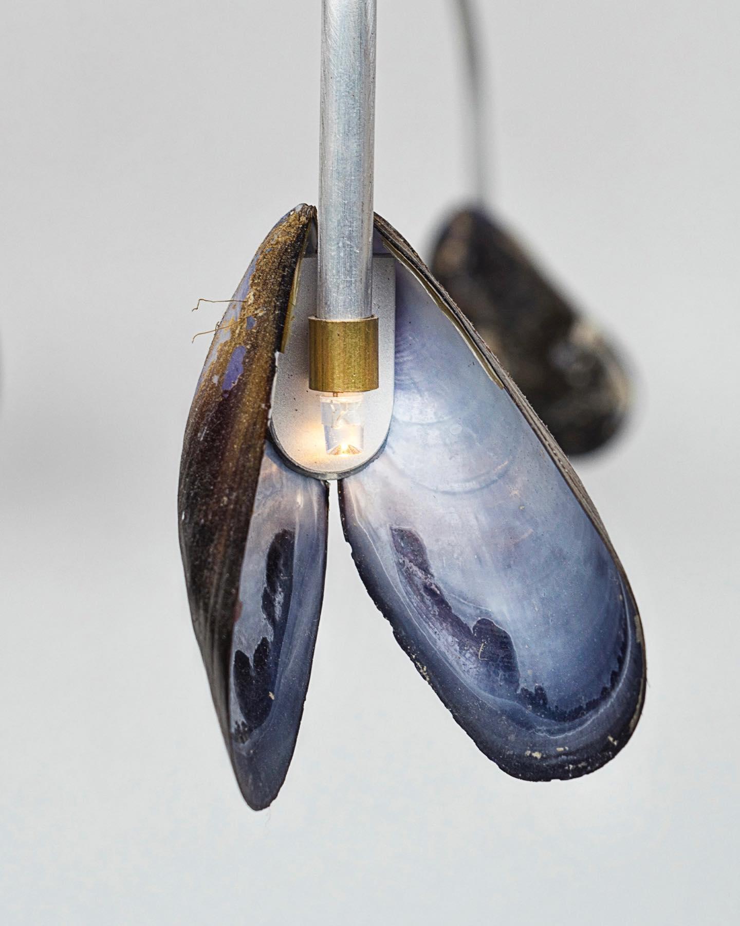 Contemporary Shell Light by Touch With Eyes For Sale