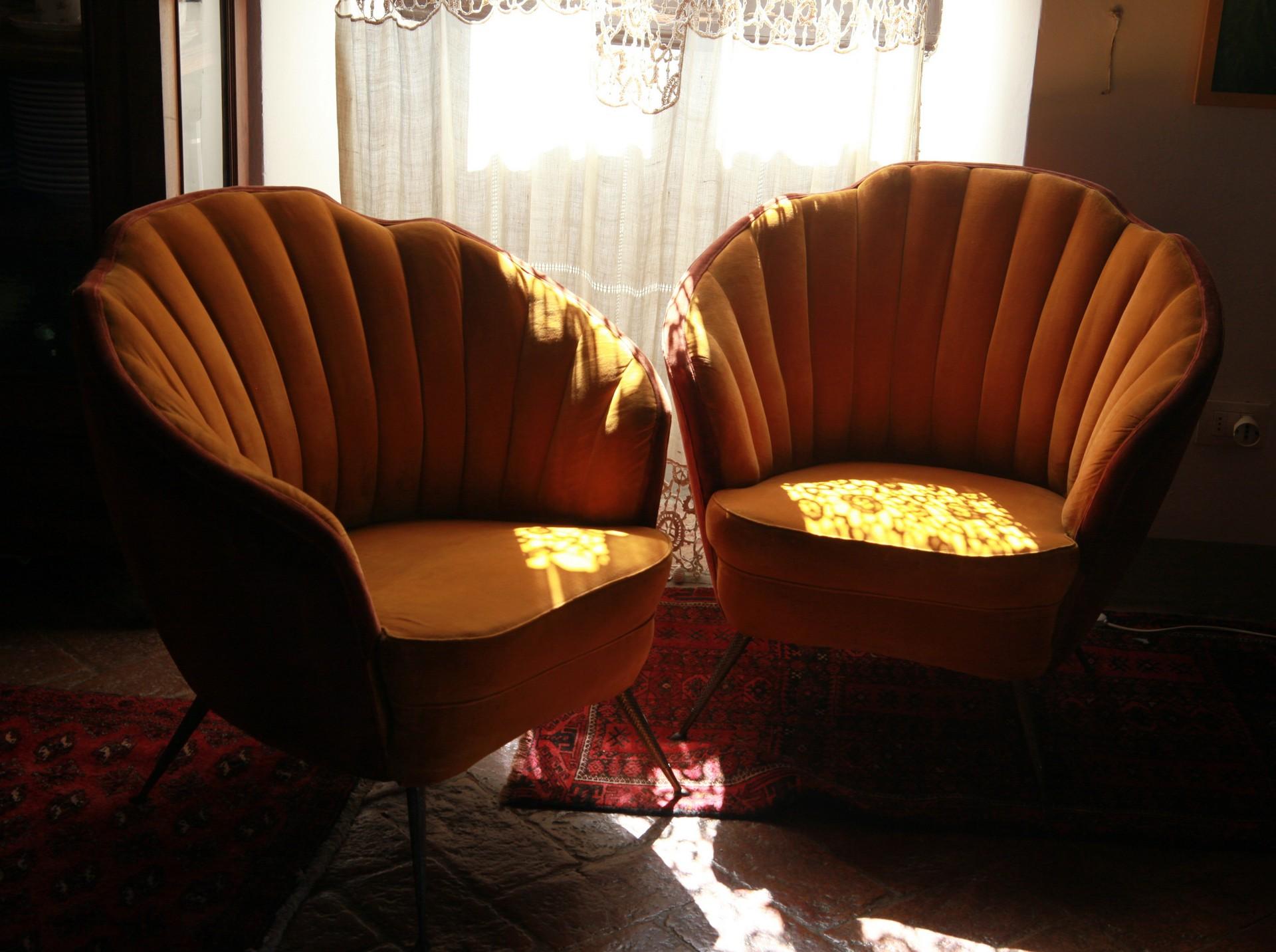 Mid-Century Modern Shell Midcentury Armchair, Brass Cast Feet, Original Velvet, Casa e Giardino