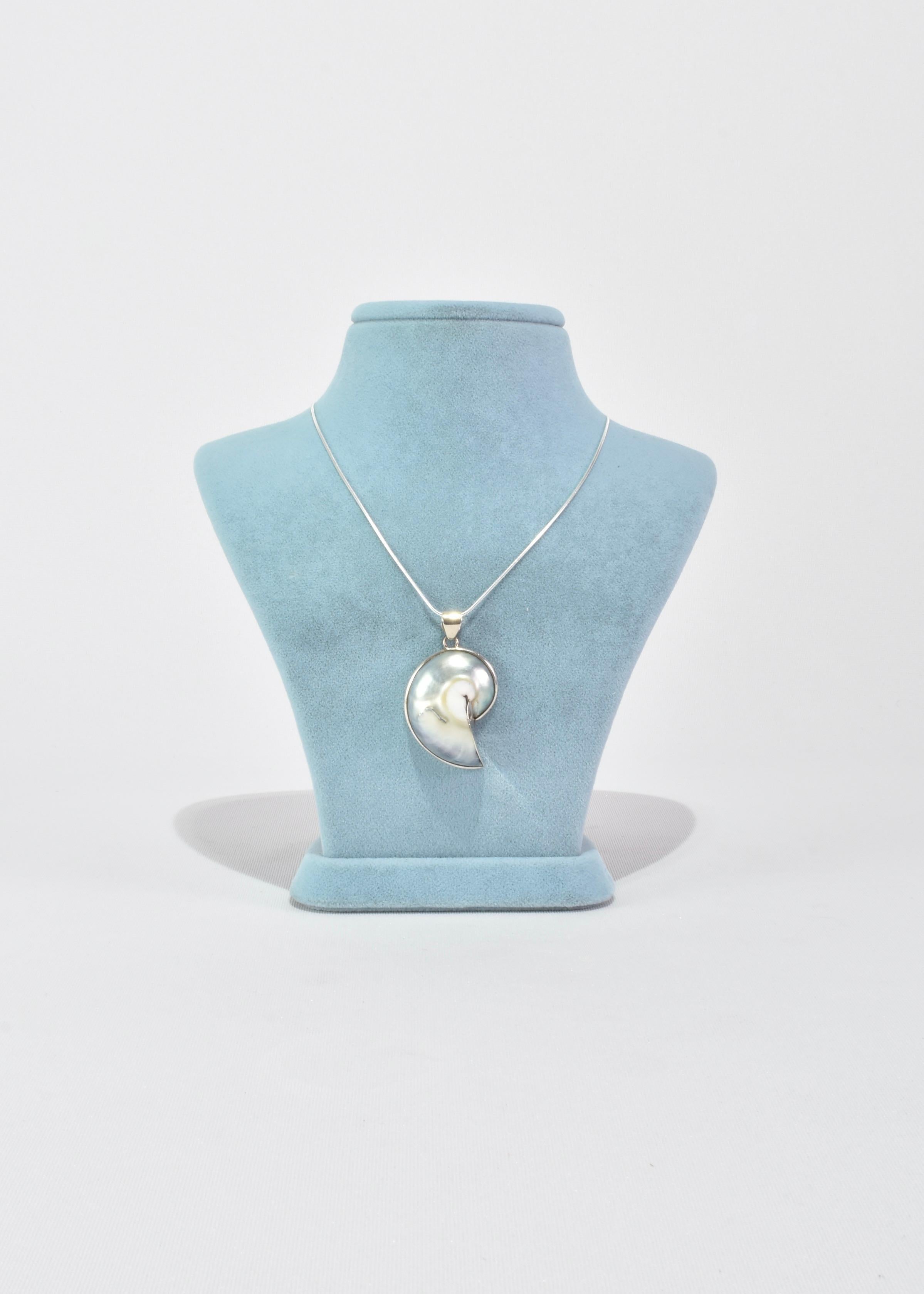 Women's or Men's Shell Pendant Necklace
