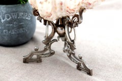 Shell ring with silver stand