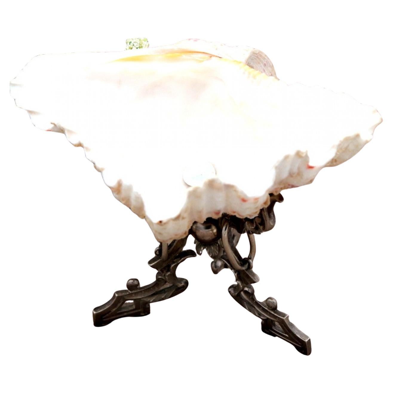 Bague en coquillage avec support en argent