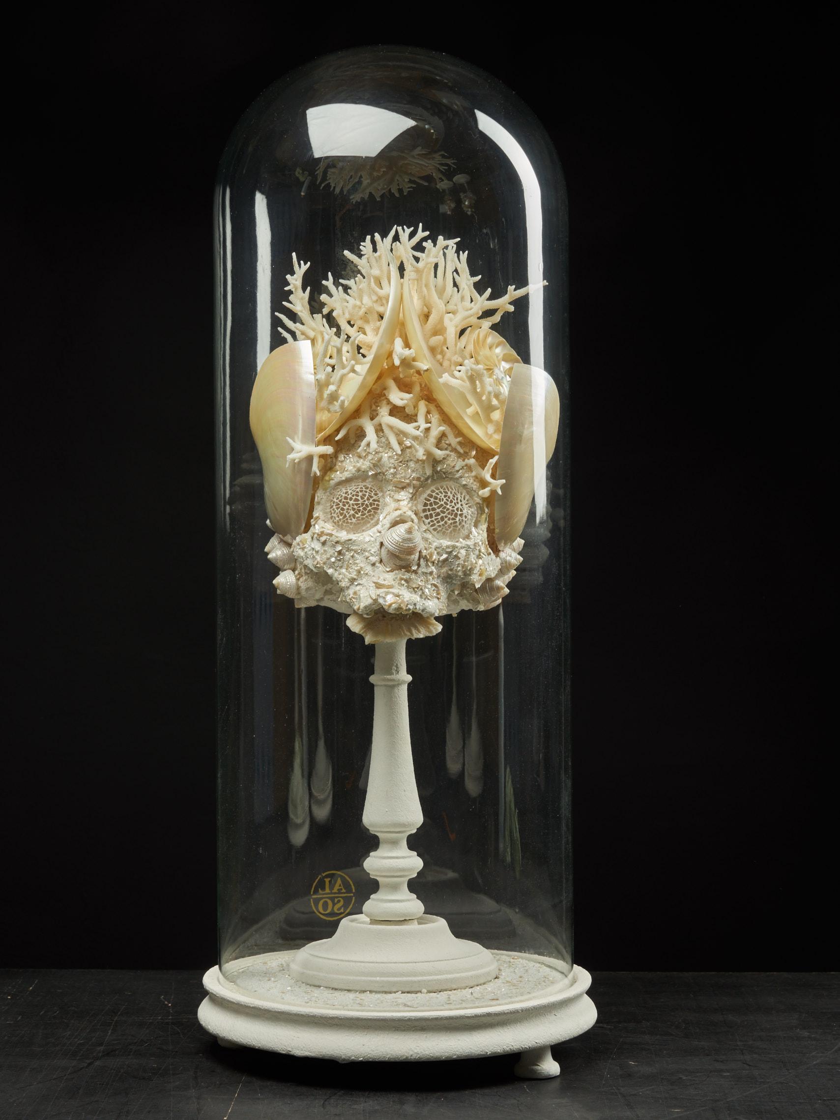 A wonderful composition made out of a variety of white shells and corals. The base of the sculpture is of coral white with the eyes resembling a spider web. The nose is an accumulation of three beige and white pyramid looking shells. Both sides have