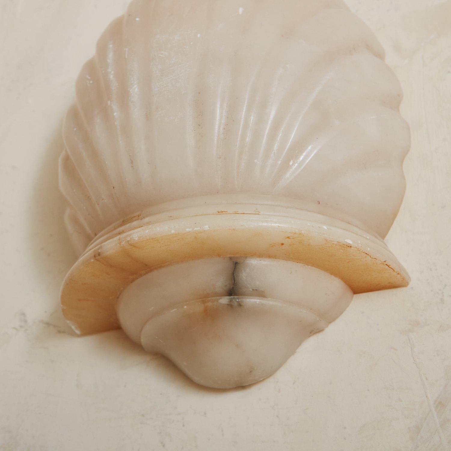 Early 20th Century Shell Shaped Alabaster Sconce, France, 1920s