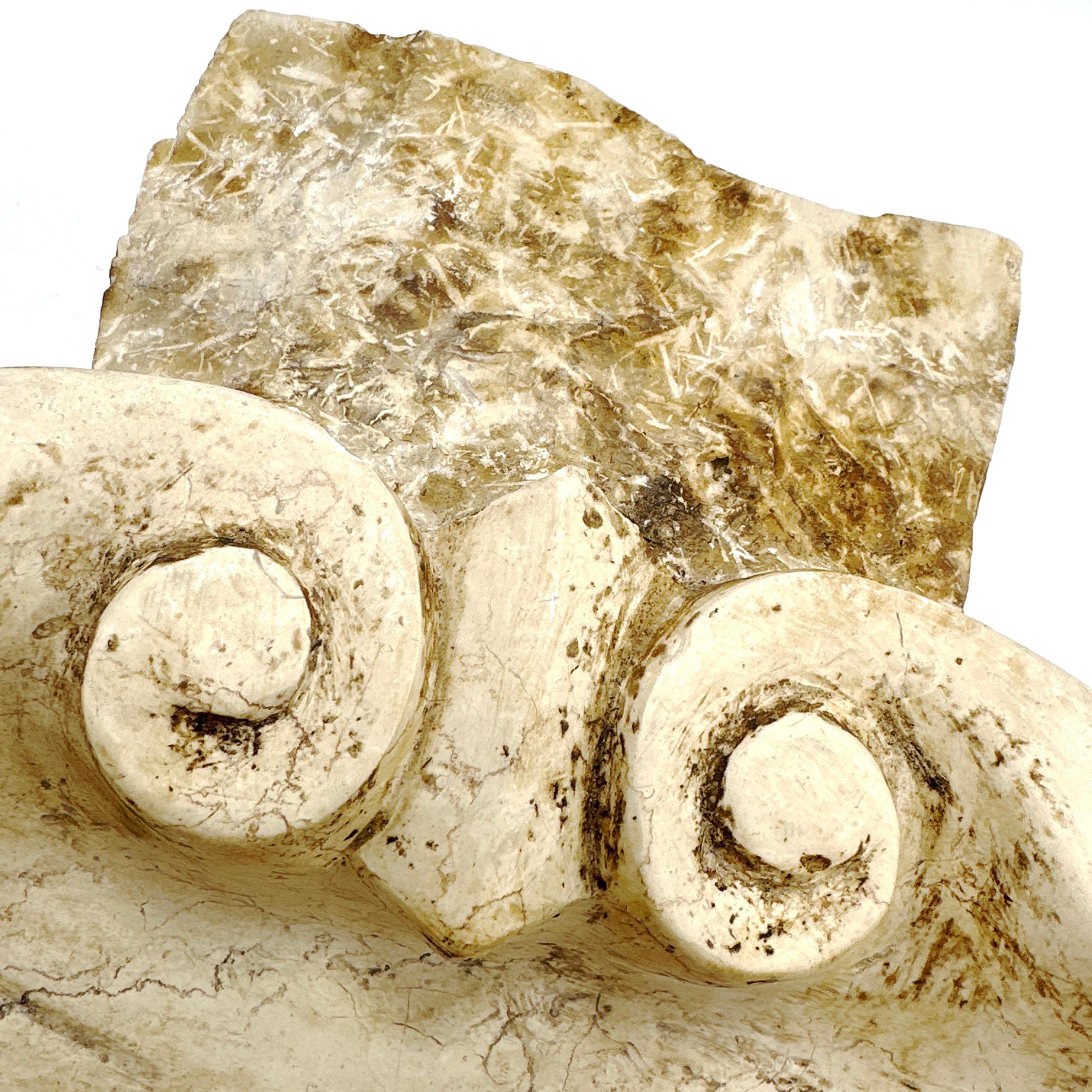 Muschelförmiges Weihwasserbecken aus italienischem Marmor im Angebot 1