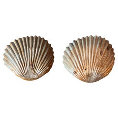 Antique Shell Shaped Wall Sconces