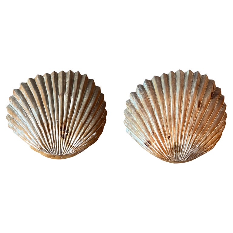 Sc Shaped Shell Shell Shaped Wall Sconces For Sale at 1stDibs