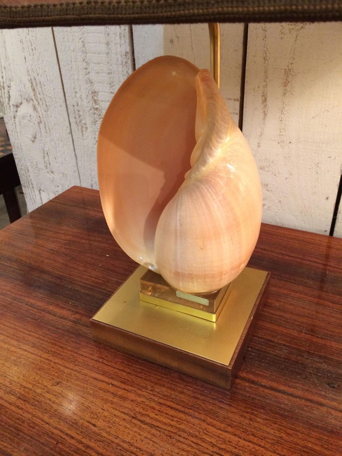 Shell Table Lamp on a Brass Base In Good Condition For Sale In Marcq-en-Barœul, Hauts-de-France