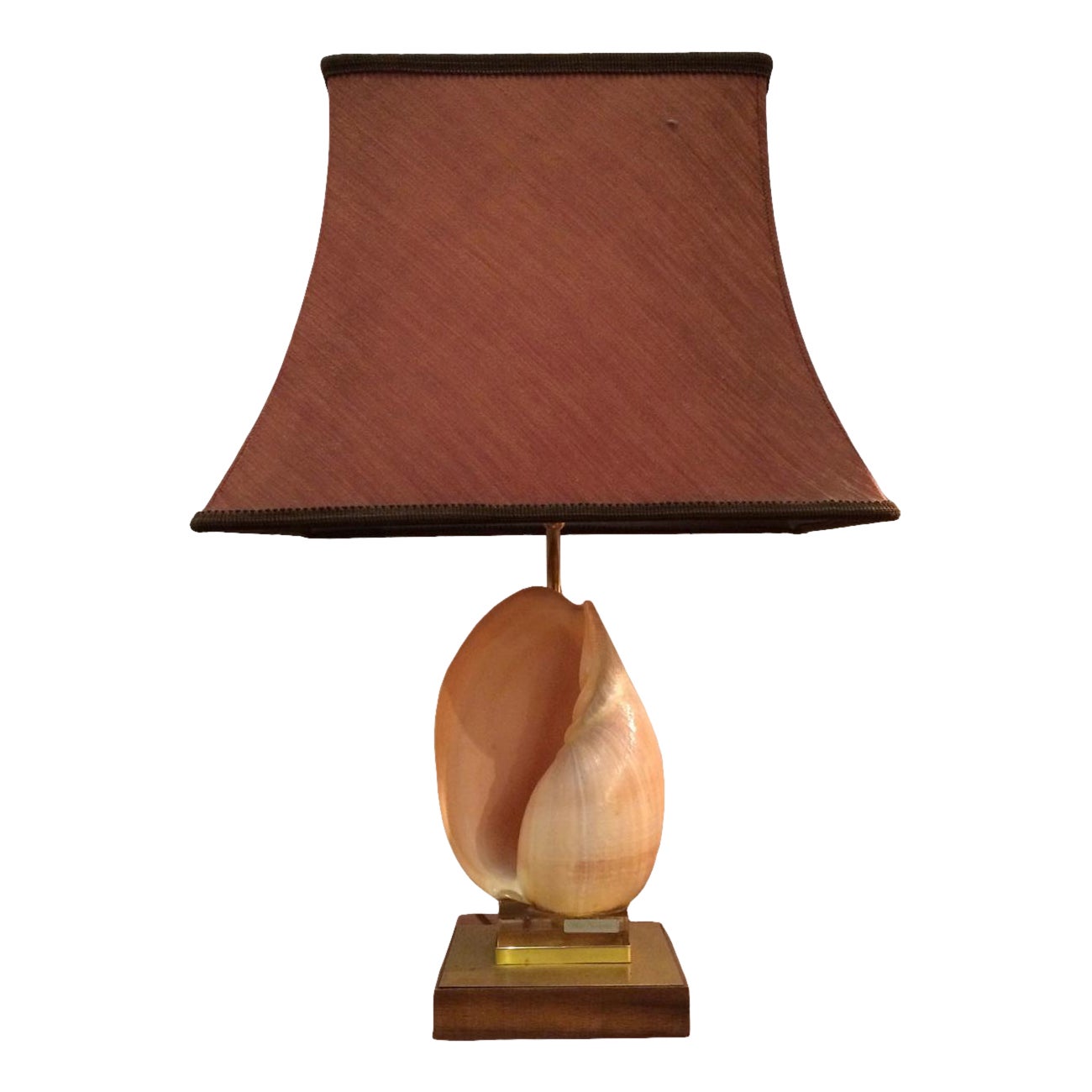 Shell Table Lamp on a Brass Base For Sale