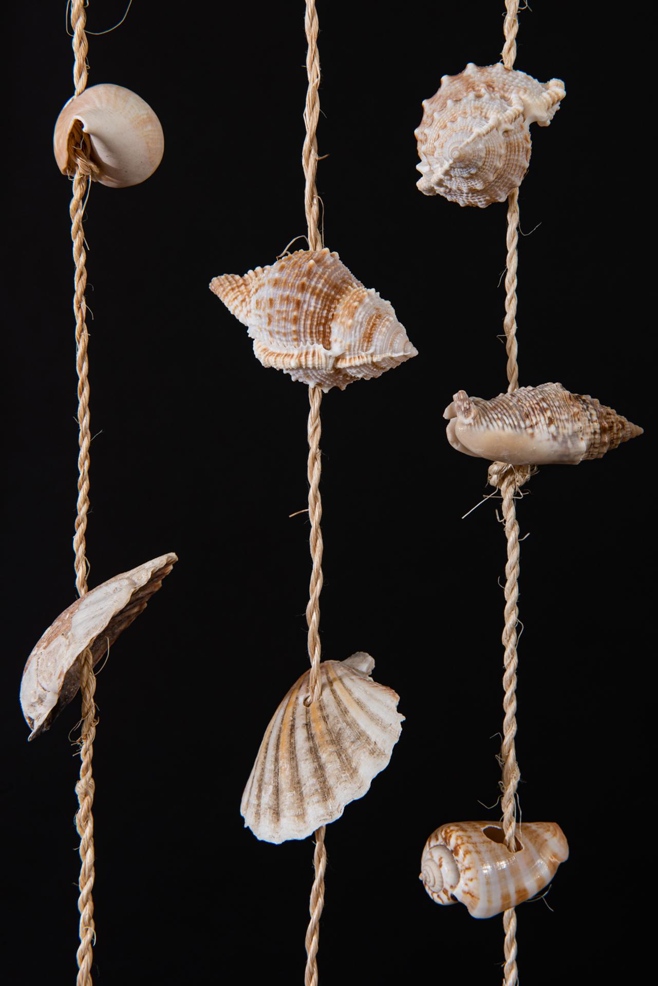 Tienda de Conchas en venta 7
